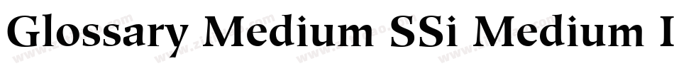 Glossary Medium SSi Medium Italic字体转换